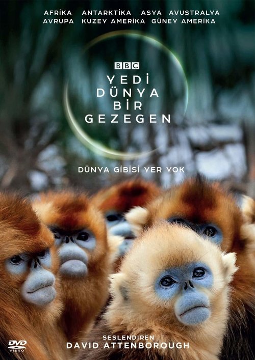 Seven Worlds, One Planet